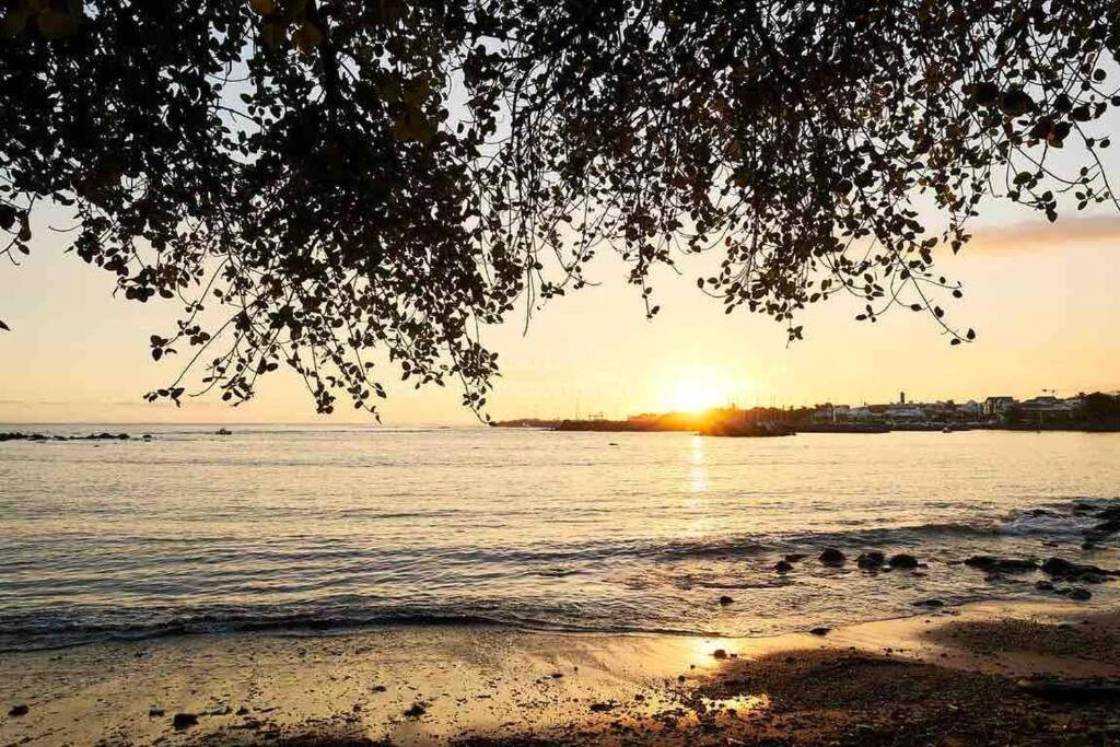 Appartement A 2 Pas De La Plage De Terre Sainte Esterno foto